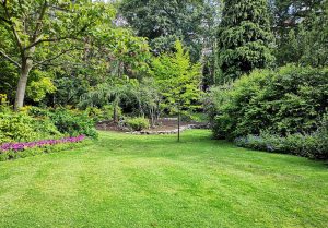 Optimiser l'expérience du jardin à Menthonnex-sous-Clermont